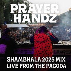 Shambhala 2025 Mix (Live From The Pagoda)