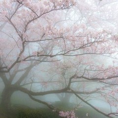 ☆ﾟ.*･｡ﾟғᴜᴛᴜʀᴇ-ғᴜɴᴋ .*･☆ﾟ 𝕕𝕚𝕤𝕔𝕠 𝔪𝔦𝔵