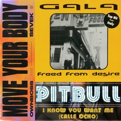 Gala, Öwnboss, Pitbull - Freed from Desire, Move Your Body, Calle Ocho (NAYKA Mashup)[FREE DOWNLOAD]