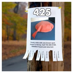 425: Missing Fart