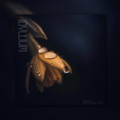 IDYLLIUM = THE BEST OF MUSIC 2025 #37