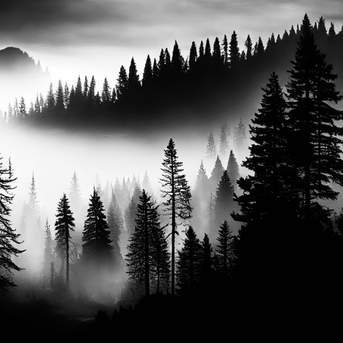 Blackwood
