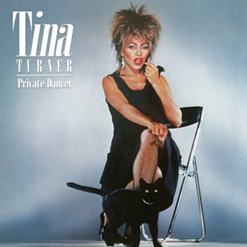 Stream Tina Turner - We Don't Need Another Hero (Dario Xavier Club