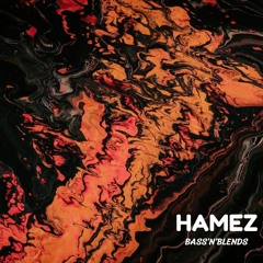 Hamez - House and Bassline Guest Mix