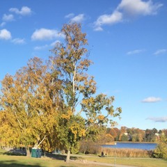 David's SoundCloud Introduction