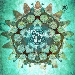 drS (FI) - Kuwaq Yaku [Voodoo & Prayers]