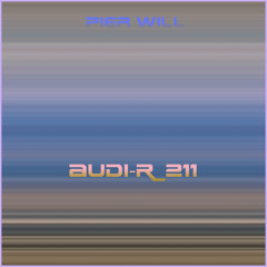 AUDI-R_211