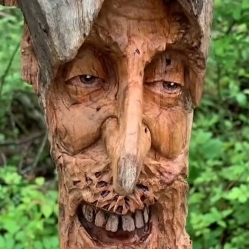 Мудрый дуб