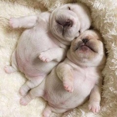 ill take care of uu <3
