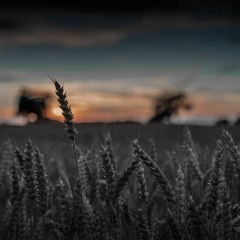 Fading Darkness