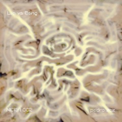 NIDRA 002 ~ pedro zoz