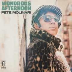 01. WONDROUS AFTERNOON