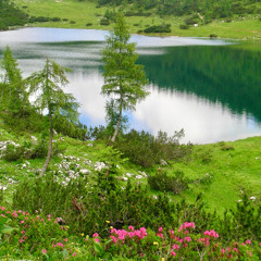 Bergsee pure version
