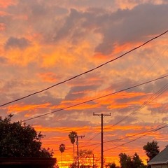 さよならテンダー （cover）