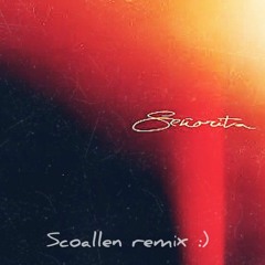 Shawn Mendes, Camila Cabello - Señorita (SCOALLEN Remix)