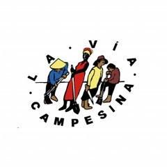 Les voix de la justice climatique à Belém, Pierre Mary Louis, Tèt Kole Ti Peyizan Ayisyen (Haiti)