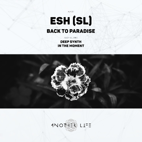 Esh (SL) - Deep Synth (Original Mix) [Another Life Music]