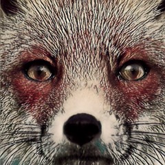 The Fox of Fennario