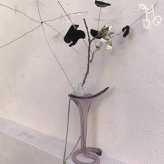 Hyaline - Sun
