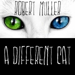A Different Cat
