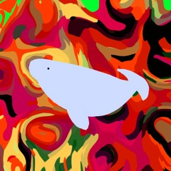 Caring Whale