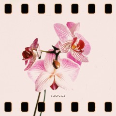 forgetmeNOT!