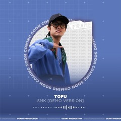 Smk(demo)-Tofu / Frame2frame