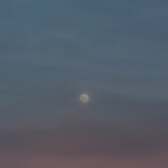 فراموشی پس از فراموشی