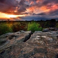 Forêt De Fontainebleau