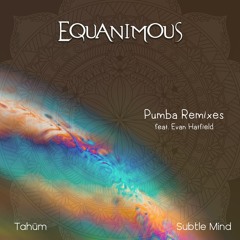 Pumba feat. Evan Hatfield (Tahüm Remix)