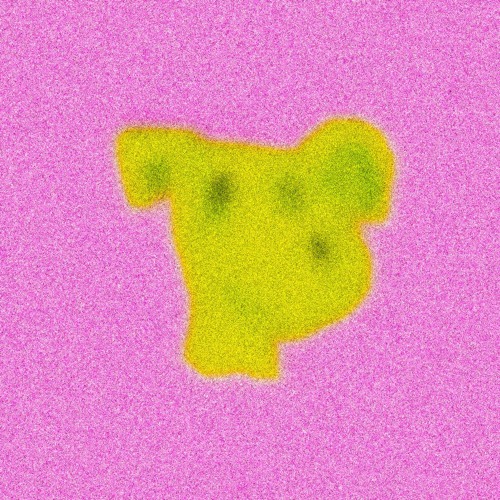 Charli XCX - 360 (Tom VR Edit)