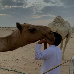 علي عبدالله - جاءت تقول