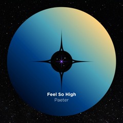 Feel So High