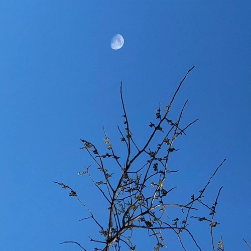 Mud Bug Ramble (22624 342 PM HD.wav)