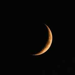 moonlight (prod. greaf)