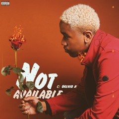 Not Available (ft. Okenio M)