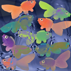 me fish