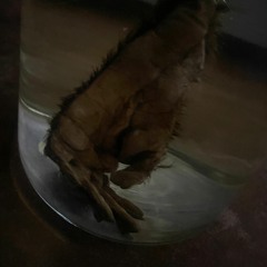 ZU HAUSE IMPRO SETJE 001