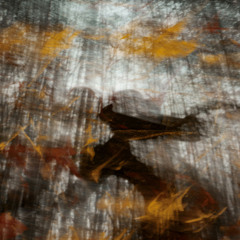 A Languid Dream - Gm in D mixolydian