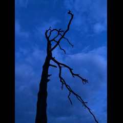 KINSURROUND - ZA HORIZONTEM