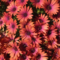 Best Part - Jordan Rakei Version (Cover)