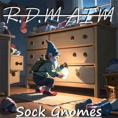 Sock Gnomes