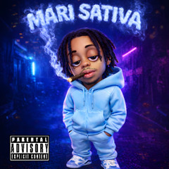 MARI SATIVA