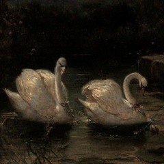 كَيفَ هامَ القَلْبُ في عَيْنَيْهِ مِنْ أَوَّلِ نَظْرَةٍ