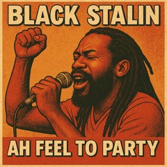 Black Stalin - Ah Feel To Party (Ice Supreme Intro Edit)