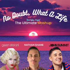 No Doubt, What A Summit Life! - Nathan Shane Mashup | Remix