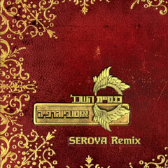 כנסיית השכל - תגידי שטוב (SEROYA Remix)