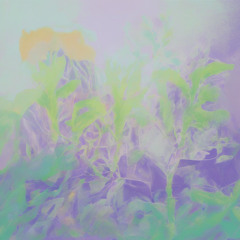 Plantado Aquí
