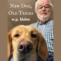 Better Late Than Never