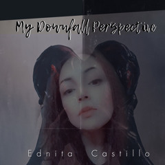 My Downfall Perspective